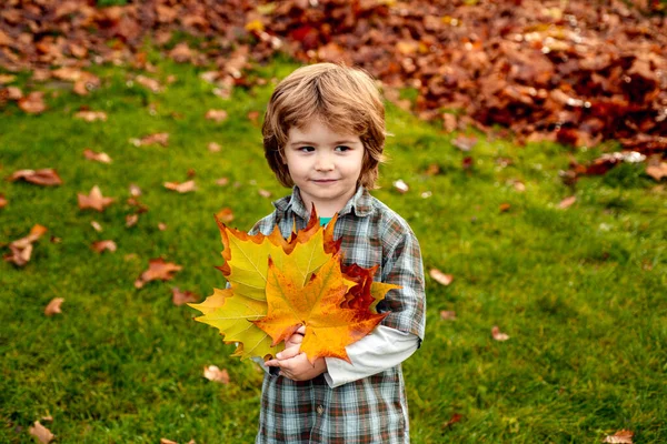 Aranyos mosoly gyerek kezében őszi levelek a természetben. — Stock Fotó