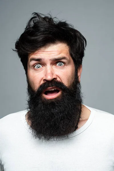 Surprised handsome man. Shocked male model with surprise expression, wow amazed excited face. Emotions people concept. Bearded hipster posing on grey background. — Stock Photo, Image