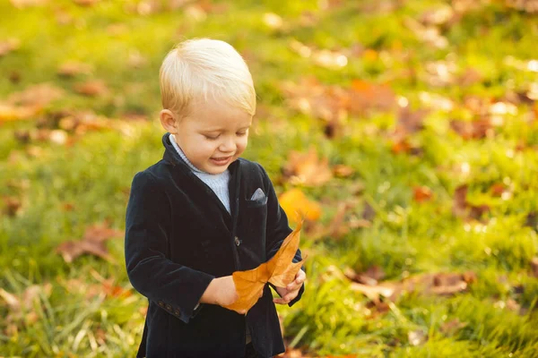 Otoño niños, precioso niño jugando con hojas caídas en el parque de otoño. —  Fotos de Stock