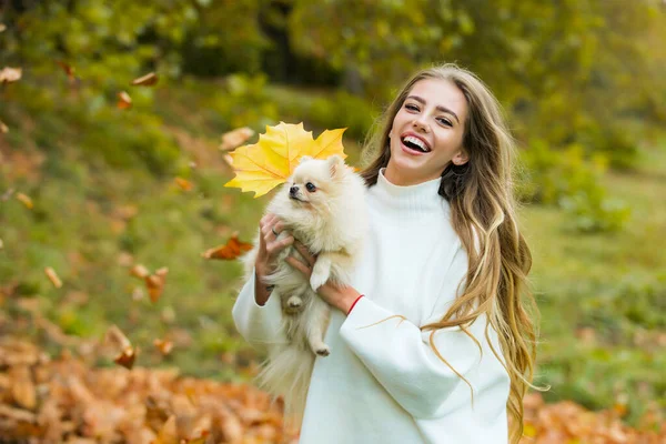 Duygusal destek için. Sonbahar akçaağaç yapraklı küçük köpekli kadın dışarıda..