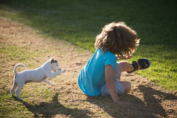 Engraçado jogo de cachorros. Menino desfrutando com seu melhor cão amigo. Crianças brincando com seu cão de estimação. — Fotografia de Stock