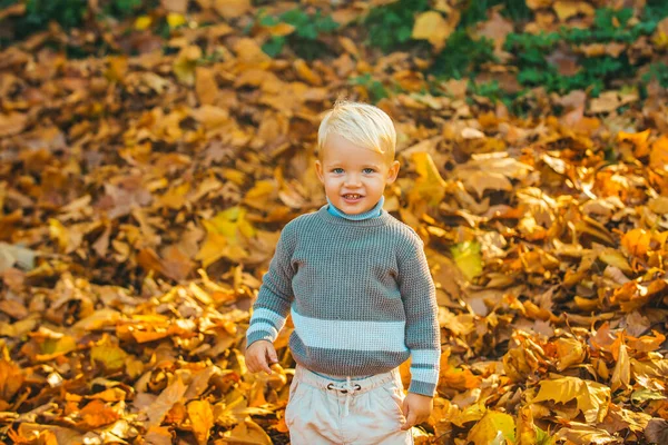 Őszi gyerek, aranyos gyerek, lehullott levelekkel az őszi parkban. Aranyos gyermek meleg kabát pulóver az őszi természet háttér. — Stock Fotó