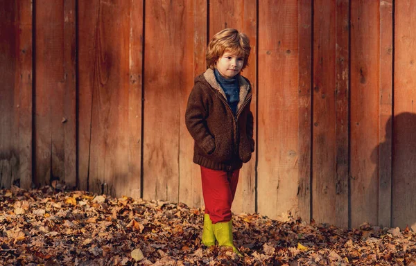 Niño en un paseo sobre fondo de madera de otoño. — Foto de Stock