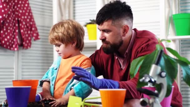 Far och son plantig växt i krukor. Trädgårdsarbete med små barn och familj. — Stockvideo