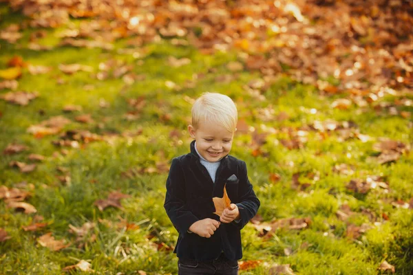 Imádnivaló őszi gyerekek levelekkel a szépségparkban. Őszi gyermekportré. — Stock Fotó