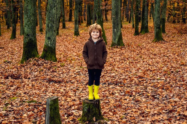 秋の公園を歩くかわいい少年。美しい秋の日. — ストック写真