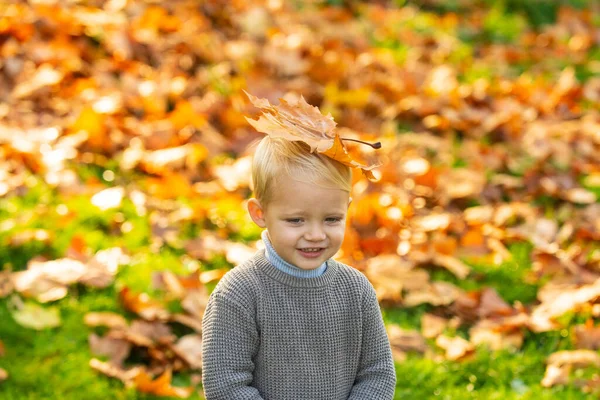 Aranyos gyermek játszik őszi levelek, őszi park. — Stock Fotó