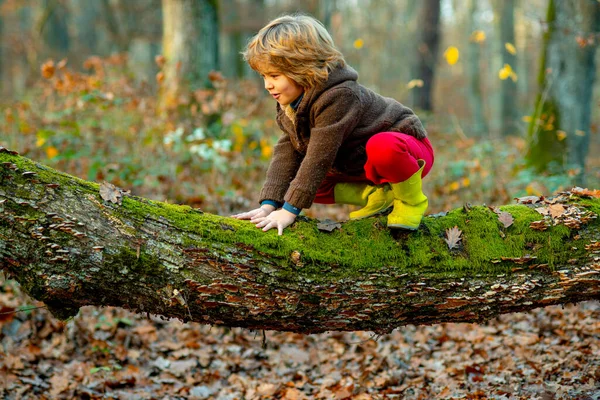 Un niño pequeño en una rama de árbol. Niño sube a un árbol. — Foto de Stock
