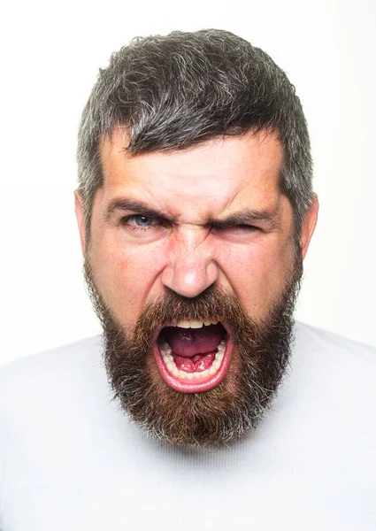 Barbeiro irritado com barba longa e bigode na barbearia. Barbudo irritado homem zangado. Grito expressão facial estressante. — Fotografia de Stock