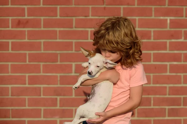 Funny photo of happy child hugging beautiful puppy dog on wall. Kid with pets. — Stock Photo, Image