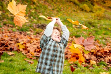 Küçük şirin bir çocuğun sonbahar portresi. Parkta sonbahar yapraklarıyla oynayan çocuk.