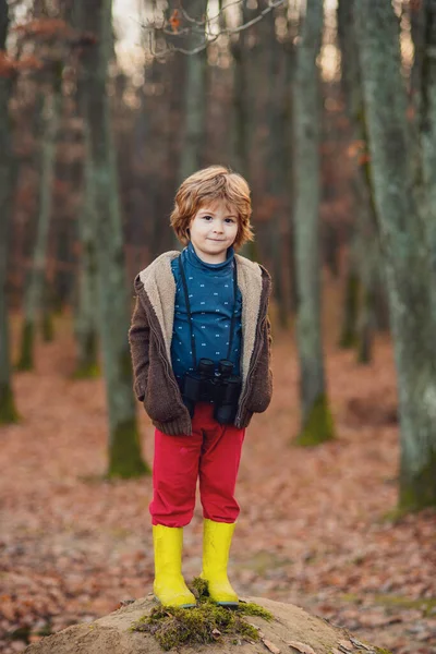 Retrato de otoño del niño preescolar en el parque. Sonriente niño sobre fondo natural. — Foto de Stock