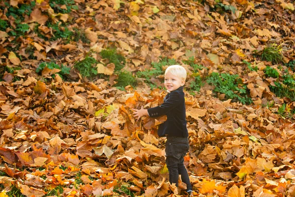 Őszi gyerek, aranyos gyerek lehullott levelekkel az őszi parkban, szabadban őszi nap. — Stock Fotó