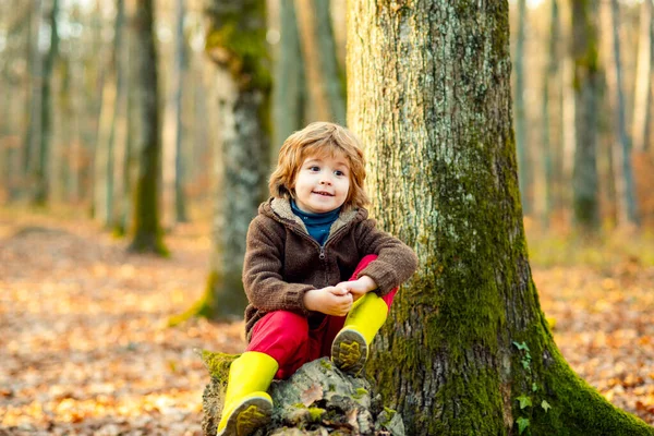Söt pojke utomhus njuter av höstnaturen. Löv faller och barn koncept. Barn i parken. — Stockfoto