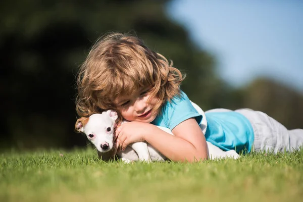 Criança garoto brinca com cachorrinho cachorro cachorro chihuahua misto. — Fotografia de Stock