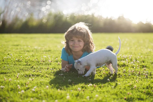 Jongen met hond puppy. Blond gelukkig kind met haar chihuahua hondje portret liggend op gazon. — Stockfoto