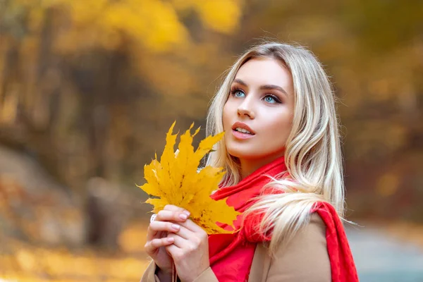 Vacker elegant kvinna i höstparken. Människor på gul bladverk bakgrund. — Stockfoto