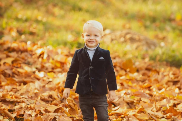 가을 재킷 옷을 입은아이. 가을 공원에서 노란 나뭇잎을 가진 소년. — 스톡 사진