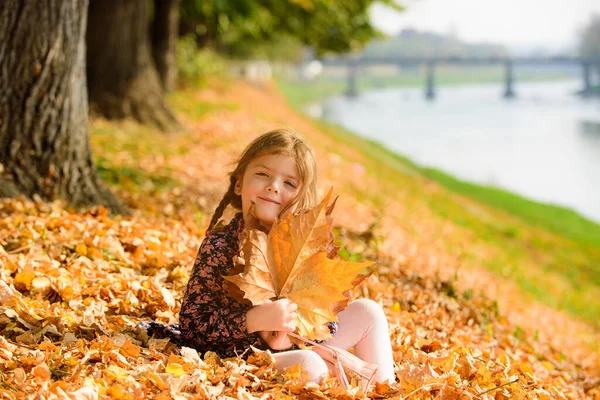 Niña caminando en un parque de otoño. Hermoso día de otoño. — Foto de Stock