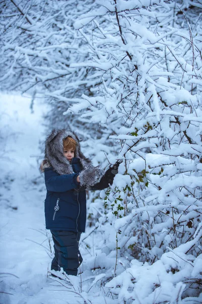 La mañana antes de Navidad. Retrato de invierno para niños. Lindo chico de invierno en el helado parque de invierno. Concepto invierno Niños y naturaleza. — Foto de Stock