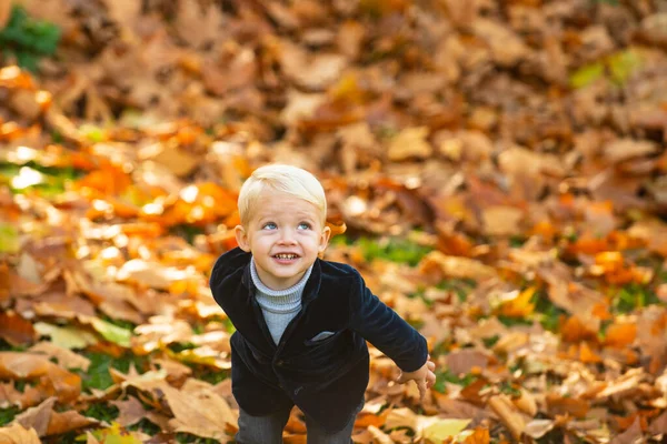Barn i höst park på gult löv bakgrund. Höstporträtt av söt liten kaukasisk pojke. — Stockfoto