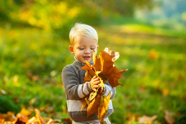 秋天小孩的画像秋天的黄叶。小孩子在外面的黄色公园里，黄叶. — 图库照片