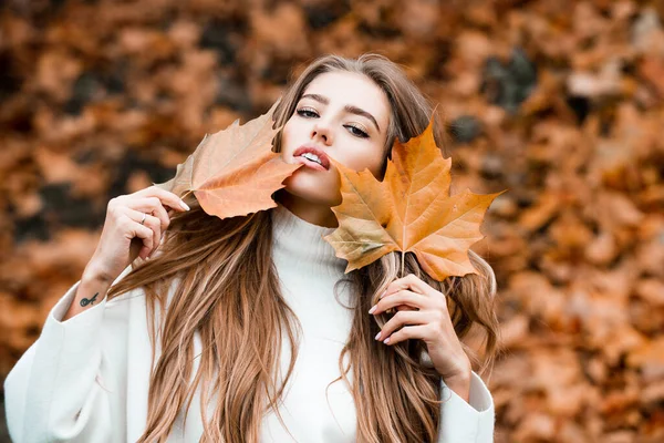 Modeherbstporträt einer stilvollen Frau, die im Park posiert. Lockiges nettes Mädchen in guter Laune posiert an warmen Tagen und genießt gutes Wetter. — Stockfoto