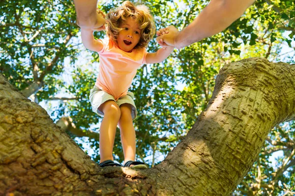 Baba oğlunun ağaca tırmanmasına yardım ediyor. Mutlu çocuk ağaca tırmanıyor ve yaz parkında eğleniyor. Babaların eli. Baba oğluna öğretiyor..