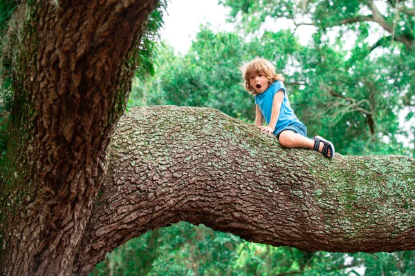 Söta barn pojke klättrar på trädet. — Stockfoto