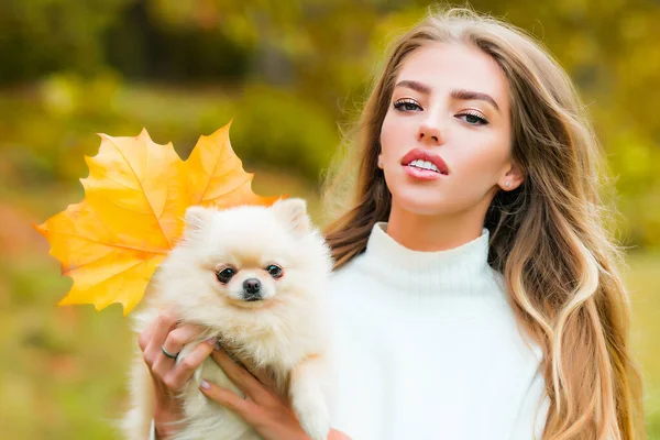 Menina com cachorrinho na folha de bordo queda ao ar livre. Apoio emocional. Tempo de outono bonito na natureza. — Fotografia de Stock