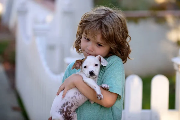 Дитина з любов'ю обіймає свого домашнього собаку. Милі діти, які грають із змішаною собакою чихуахуа, лежать на газоні на подвір'ї. Безтурботне дитинство . — стокове фото