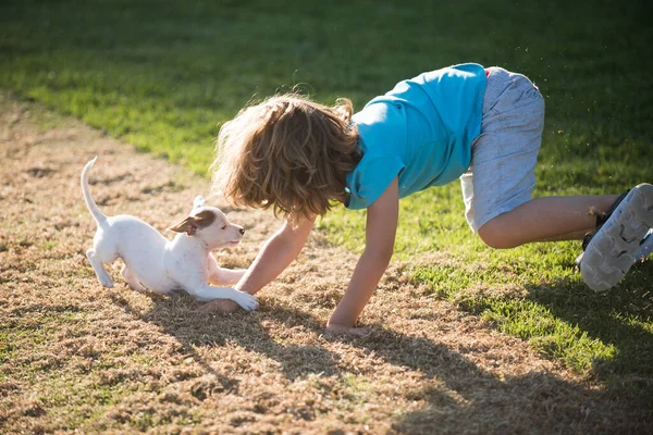 Criança bonito desfrutando com seu melhor cão amigo. Engraçado jogo de cachorros. Crianças brincando com seu cão de estimação. — Fotografia de Stock