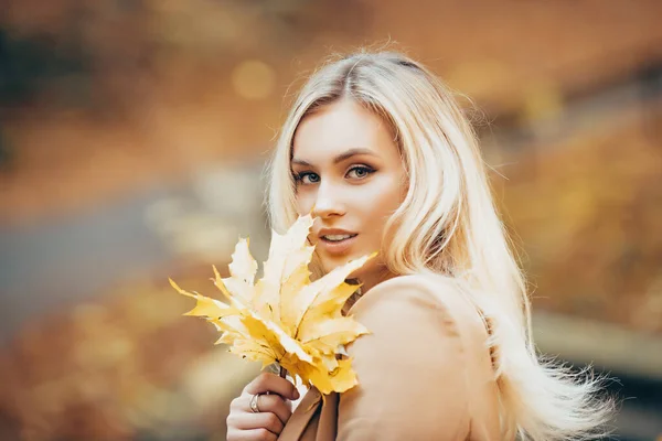 Schöne elegante Frau im Herbst Blatt Park. — Stockfoto