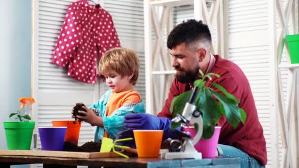 Père et fils prennent soin de la plante dans des pots. — Video