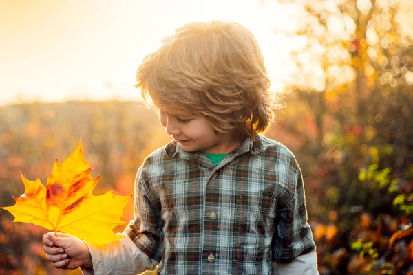 Το φθινόπωρο αφήνει παιδί. Φθινοπωρινό πορτρέτο του χαριτωμένου μικρού καυκάσιου αγοριού. — Φωτογραφία Αρχείου