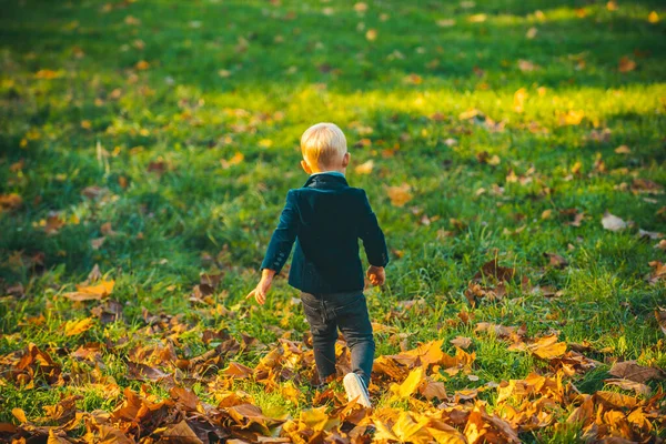 Дитина восени осіннє листя на природі гуляє на відкритому повітрі. Осінній портрет милого маленького кавказького хлопчика . — стокове фото