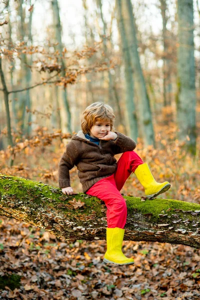 Безтурботне дитинство. Малюк грає в осінньому лісі. Осіннє листя на відкритому повітрі . — стокове фото