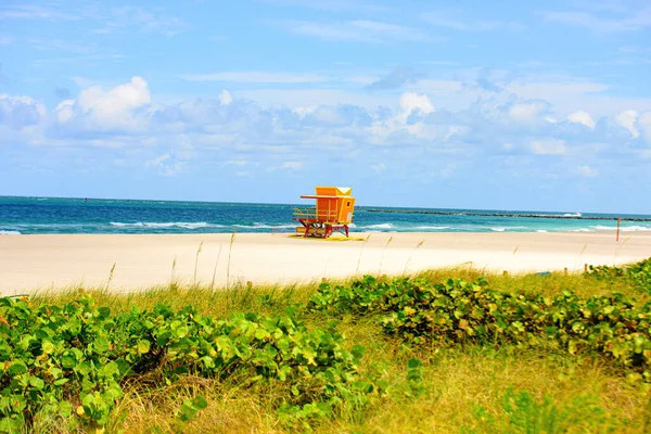美国佛罗里达州迈阿密海滩日出和救生塔.桑迪热带场景. — 图库照片