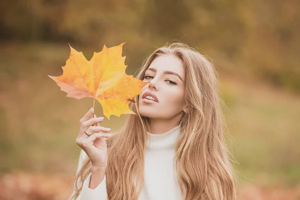 Moda mujer retrato otoño esconde su cara hojas de arce amarillo. — Foto de Stock