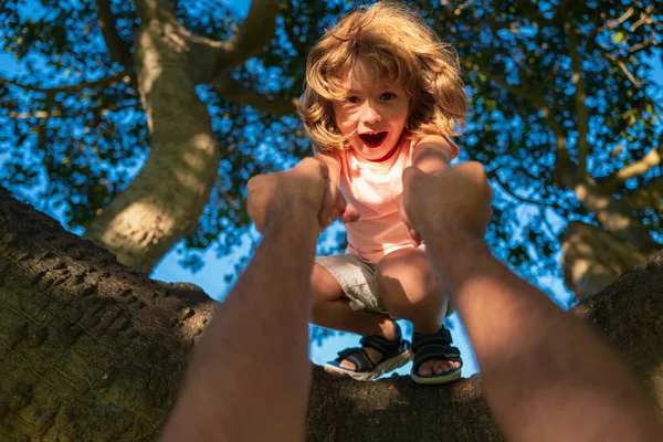Baba oğlunun ağaca tırmanmasına yardım ediyor. Ağaca tırmanan tatlı çocuk. Ebeveyn, çocuğun elini tutar..