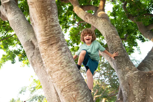 Dzieciaki z ubezpieczenia. Chłopiec w lesie wspinający się na drzewo na wsi. Koncepcja ubezpieczenia zdrowotnego dla rodziny i dzieci ochrona zdrowia. — Zdjęcie stockowe