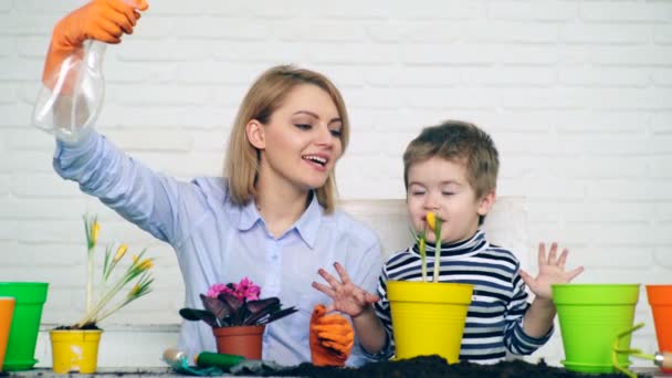 Begreppet plantor. Familjen har mycket roligt samtidigt vattna sina blommor planterade på sommaren. — Stockvideo