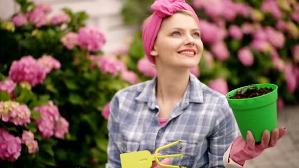 Mujer feliz jardinero plantando flores hortensia en soleado jardín de verano. — Vídeo de stock
