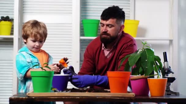 Un chico serio ayudando a su padre a regar plantas. Padre e hijo plantig flor en macetas. Concepto de paternidad. — Vídeos de Stock