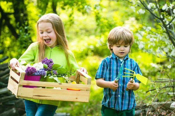 Adorable little Children playing with her toy garden tools in a garden on sunny spring day. Two young farmers. Sister and brother working in field. Childhood memories. — Stock Photo, Image