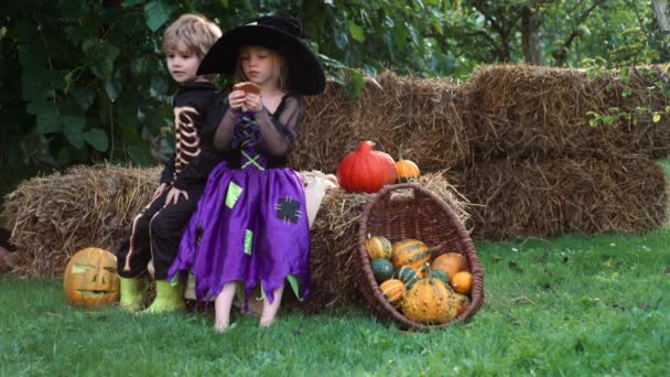 Bambini di Halloween. Ragazzo e ragazza indossano un costume di Halloween con zucca. I bambini divertenti mangiano dolci trucchi. Dolcetto o scherzetto per bambini vicino a zucche intagliate. — Video Stock