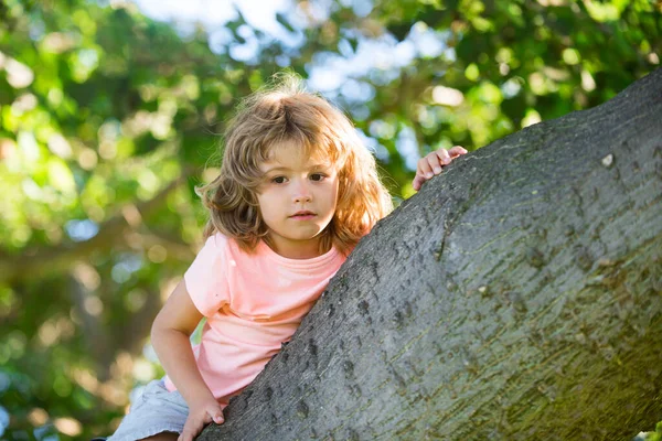 Versicherungskinder. Nettes Kind spielt im Garten und klettert auf den Baum. — Stockfoto