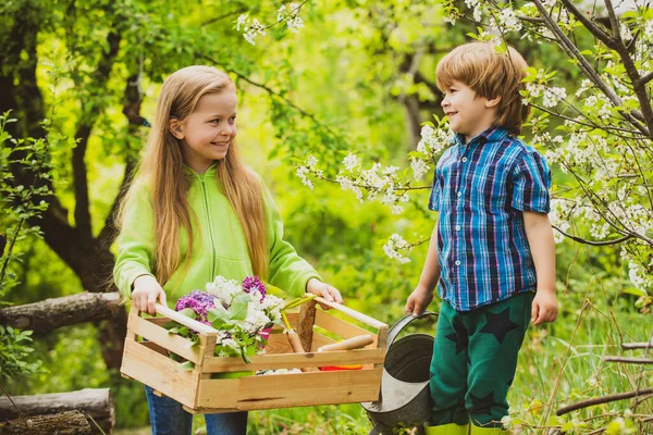 stock image Eco resort activities. Summer leisure. Happy kid on summer field. Cute little farmers - sister and brother working with spud on spring field.