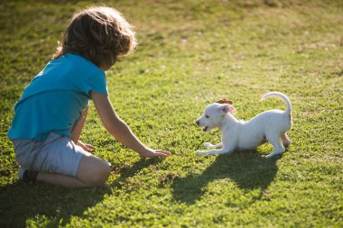 Çocuk köpek yavrusunu barınaktan aldı. Evlatlık hayvan. Küçük sevimli evcil hayvan evini buldu. Minnettar bir şekilde bir oğlanın yüzünü yalıyor. Mutlu çocuk duyguları konsepti.