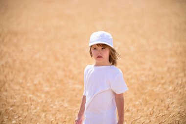 Sonbaharda buğday tarlasında bir çocuk. Çavdar tarlalarındaki çocuk.